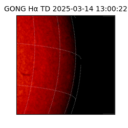gong - 2025-03-14T13:00:22
