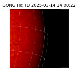 gong - 2025-03-14T14:00:22