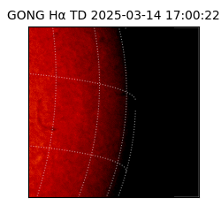 gong - 2025-03-14T17:00:22
