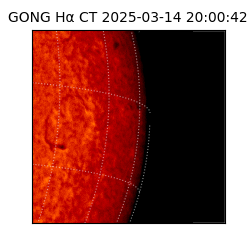 gong - 2025-03-14T20:00:42