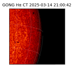 gong - 2025-03-14T21:00:42