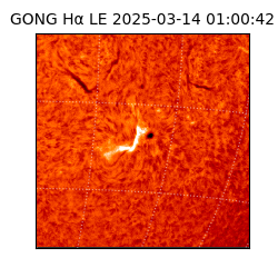 gong - 2025-03-14T01:00:42