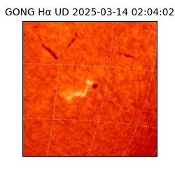 gong - 2025-03-14T02:04:02