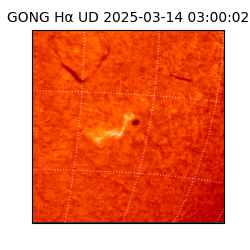 gong - 2025-03-14T03:00:02