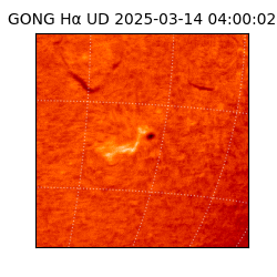 gong - 2025-03-14T04:00:02