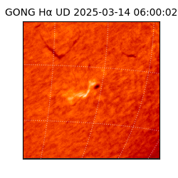 gong - 2025-03-14T06:00:02