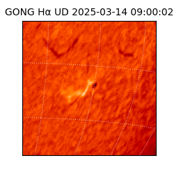 gong - 2025-03-14T09:00:02