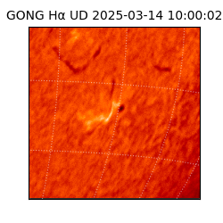 gong - 2025-03-14T10:00:02