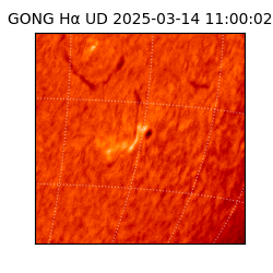 gong - 2025-03-14T11:00:02