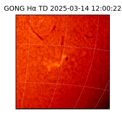 gong - 2025-03-14T12:00:22