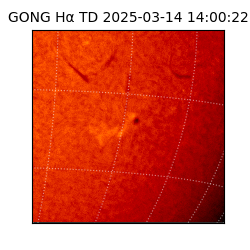 gong - 2025-03-14T14:00:22