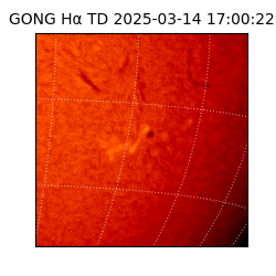 gong - 2025-03-14T17:00:22