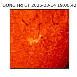 gong - 2025-03-14T19:00:42