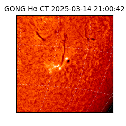 gong - 2025-03-14T21:00:42