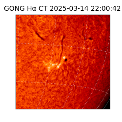 gong - 2025-03-14T22:00:42