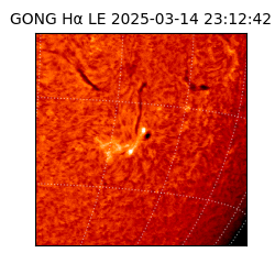 gong - 2025-03-14T23:12:42