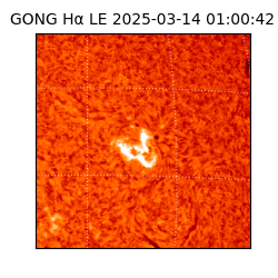 gong - 2025-03-14T01:00:42