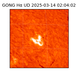 gong - 2025-03-14T02:04:02