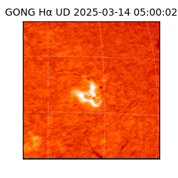 gong - 2025-03-14T05:00:02