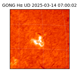 gong - 2025-03-14T07:00:02