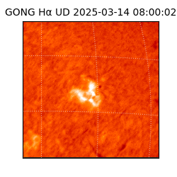 gong - 2025-03-14T08:00:02