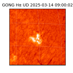 gong - 2025-03-14T09:00:02