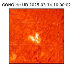 gong - 2025-03-14T10:00:02