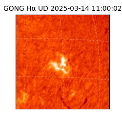 gong - 2025-03-14T11:00:02