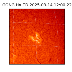 gong - 2025-03-14T12:00:22