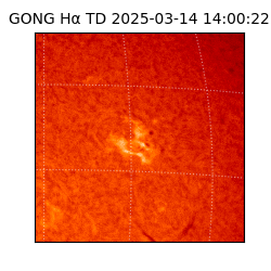 gong - 2025-03-14T14:00:22