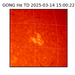 gong - 2025-03-14T15:00:22