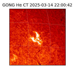 gong - 2025-03-14T22:00:42