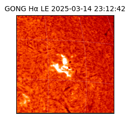 gong - 2025-03-14T23:12:42