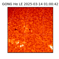 gong - 2025-03-14T01:00:42