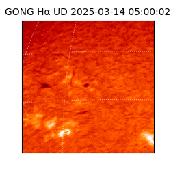 gong - 2025-03-14T05:00:02