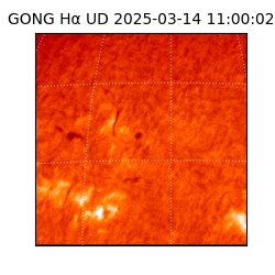 gong - 2025-03-14T11:00:02