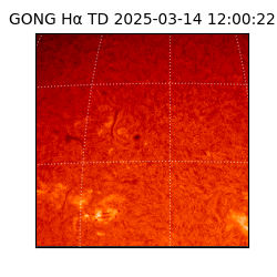 gong - 2025-03-14T12:00:22