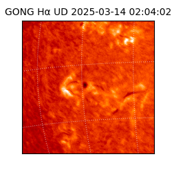 gong - 2025-03-14T02:04:02