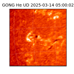 gong - 2025-03-14T05:00:02