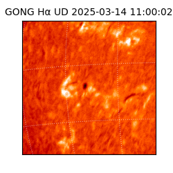 gong - 2025-03-14T11:00:02