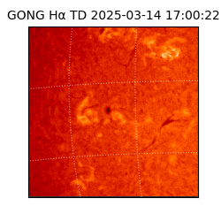gong - 2025-03-14T17:00:22
