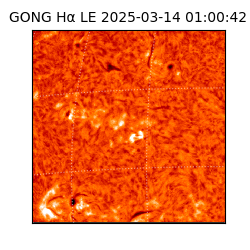 gong - 2025-03-14T01:00:42