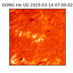 gong - 2025-03-14T07:00:02