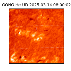 gong - 2025-03-14T08:00:02