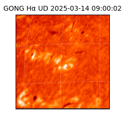 gong - 2025-03-14T09:00:02