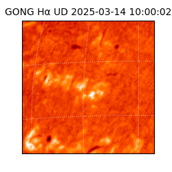 gong - 2025-03-14T10:00:02