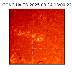gong - 2025-03-14T13:00:22