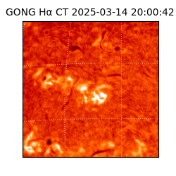 gong - 2025-03-14T20:00:42