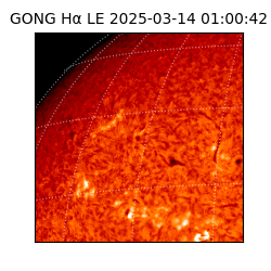 gong - 2025-03-14T01:00:42