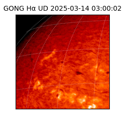 gong - 2025-03-14T03:00:02